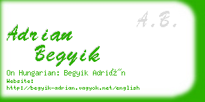 adrian begyik business card